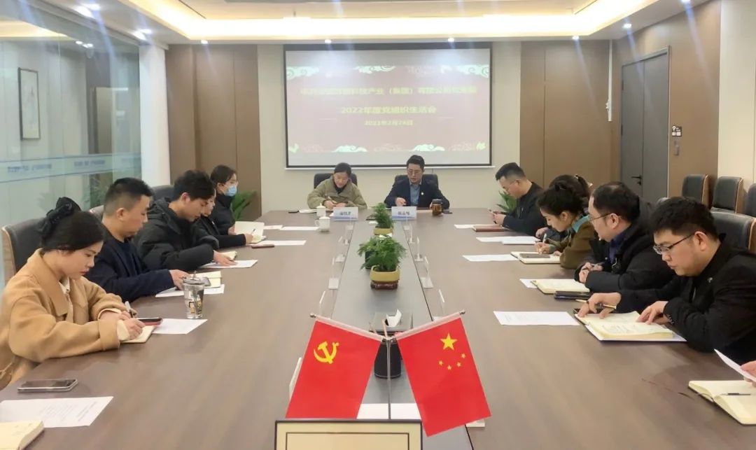 安徽萬(wàn)碩科技產(chǎn)業(yè)（集團(tuán)）有限公司黨支部召開2022年度組織生活會(huì)