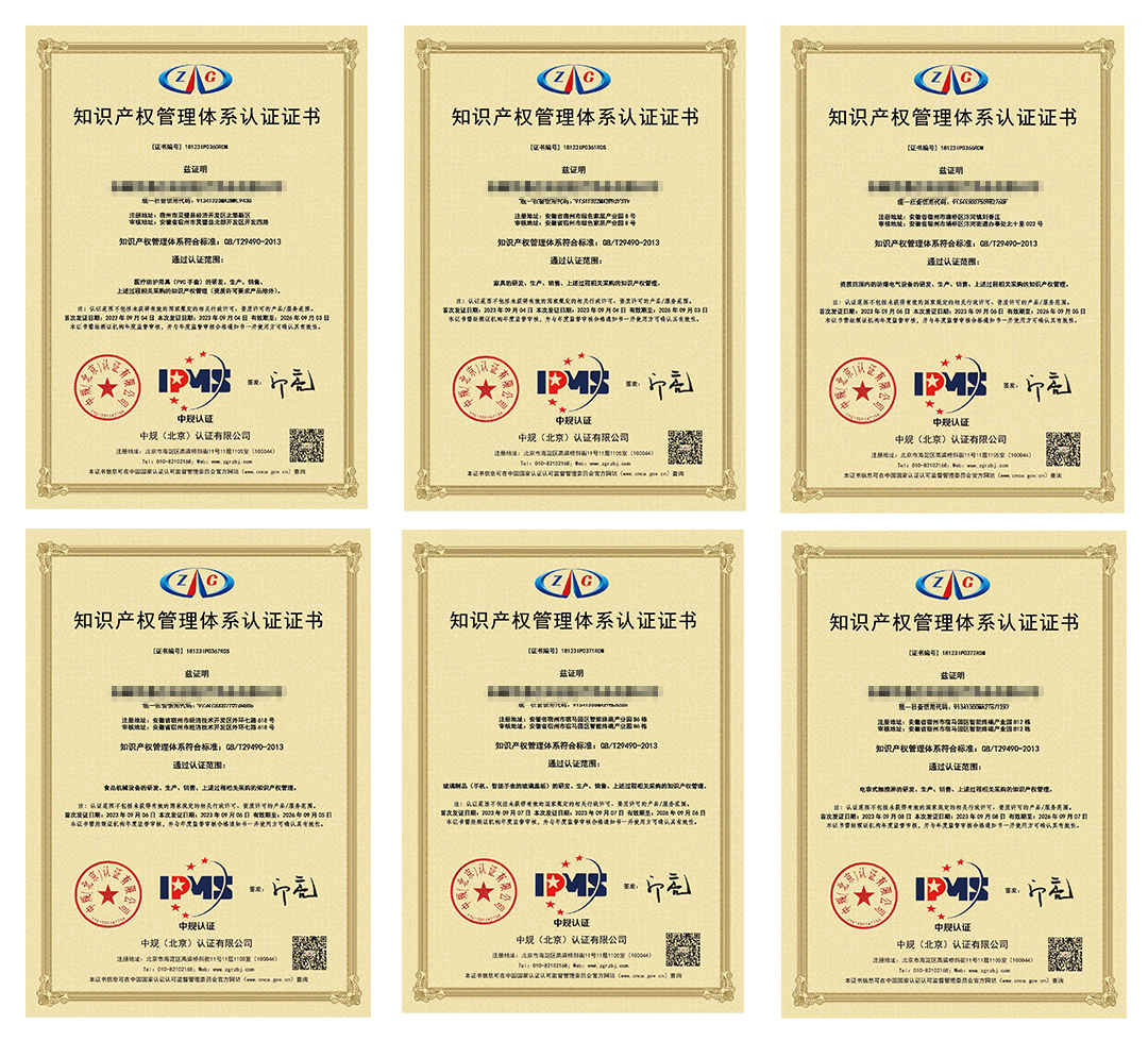 喜訊！安徽萬碩科技產(chǎn)業(yè)（集團(tuán)）有限公司輔導(dǎo)6家企業(yè)順利獲得《知識產(chǎn)權(quán)管理體系認(rèn)證證書》