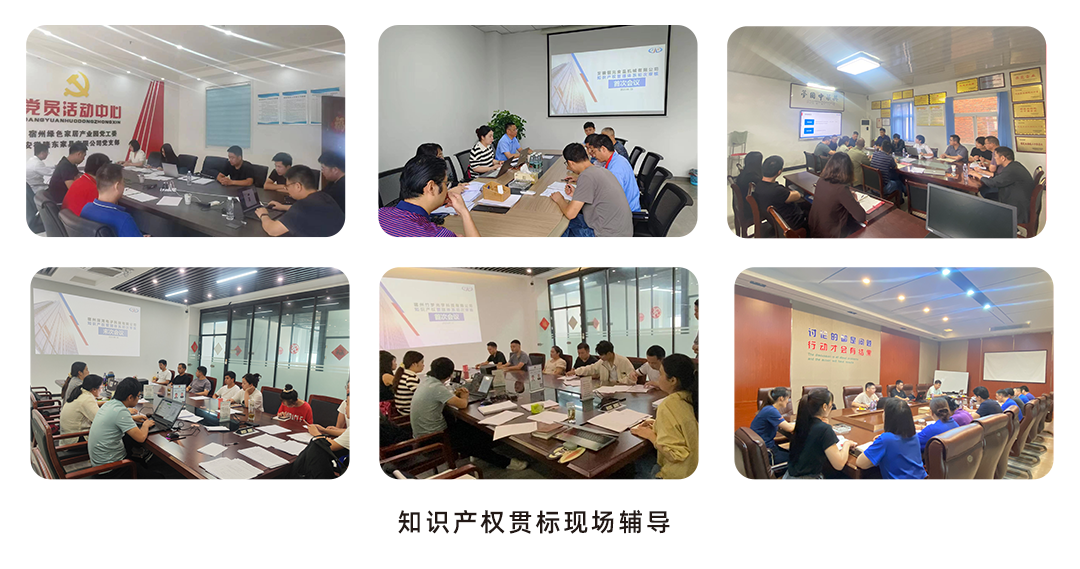 喜訊！安徽萬碩科技產(chǎn)業(yè)（集團(tuán)）有限公司輔導(dǎo)6家企業(yè)順利獲得《知識產(chǎn)權(quán)管理體系認(rèn)證證書》