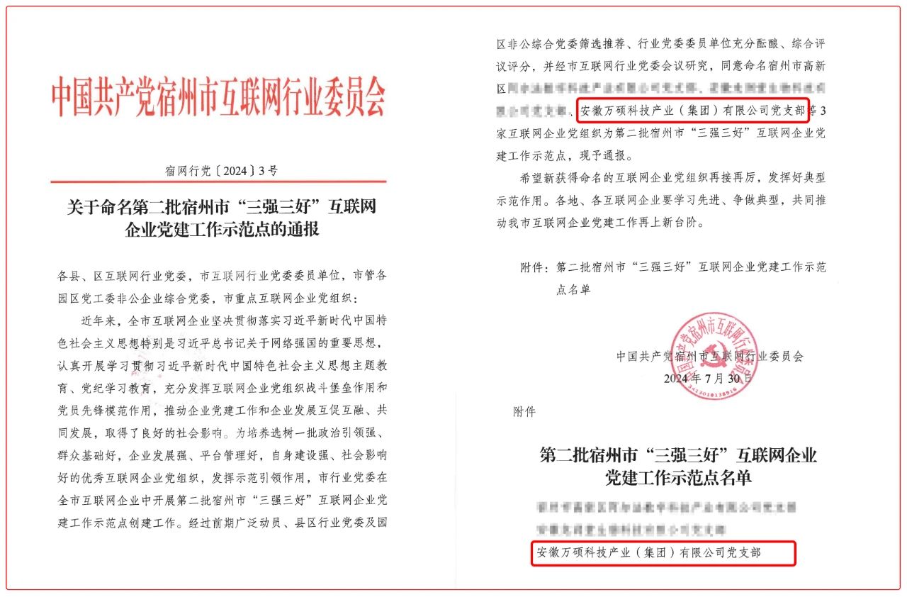 喜報(bào)！安徽萬(wàn)碩科技產(chǎn)業(yè)（集團(tuán)）有限公司黨支部榮獲宿州市互聯(lián)網(wǎng)企業(yè)“三強(qiáng)三好”黨建工作示范點(diǎn)