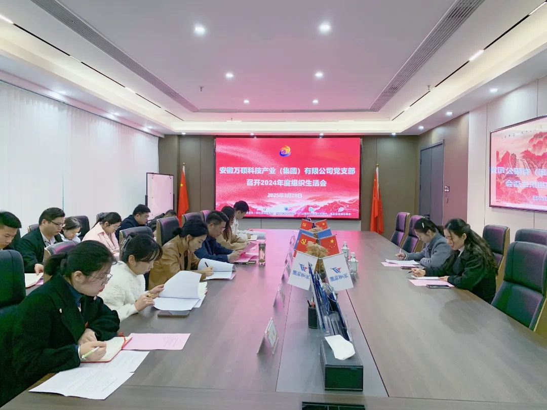 以黨建促發(fā)展 凝心聚力譜新篇丨萬碩集團黨支部召開2024年度組織生活會